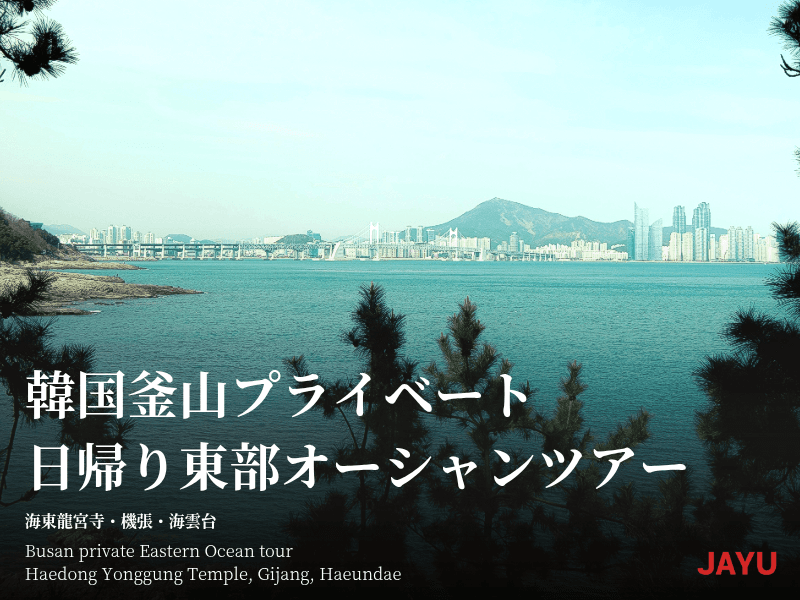 韓国釜山 カスタム日帰り 東部オーシャンツアー